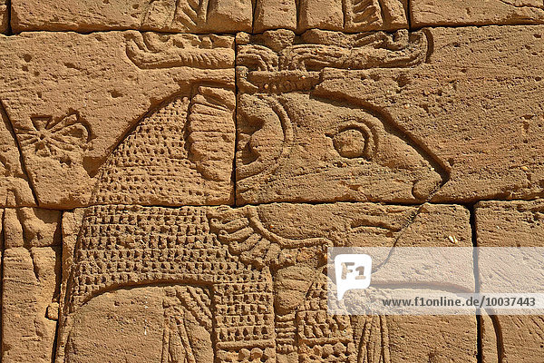 Relief des Löwen-Gotts Apedemak  Porträt  am Löwen-Tempel  Naga  Nubien  Nahr an-Nil  Sudan  Afrika