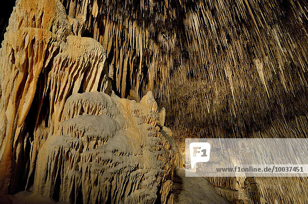 Coves del Drach  Cuevas del Drach  Drachenhöhle  Porto Cristo  Mallorca  Balearen  Spanien  Europa