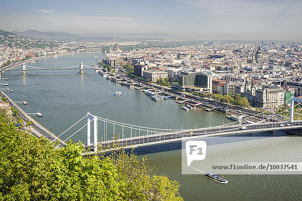 Elisabethbrücke und Donau  Budapest  Ungarn  Europa