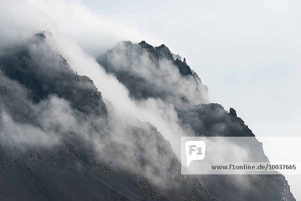 Lavaberge im Nebel  Hornafjörður  Austurland  Island  Europa