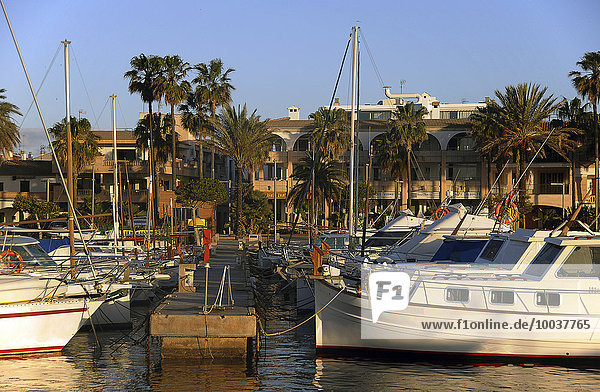 Boote im Hafen  frühmorgens  Colonia de Sant Jordi  Mallorca  Balearen  Spanien  Europa