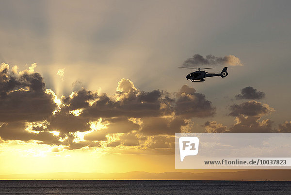 Helicopter  Hubschrauber vor Sonnenuntergang  Queensland  Australien  Ozeanien