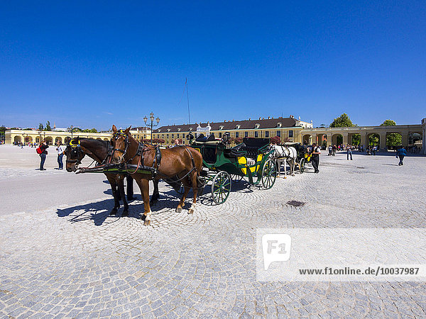 Pferdekutsche oder Fiaker vor Schloss Schönbrunn  Wien  Österreich  Europa