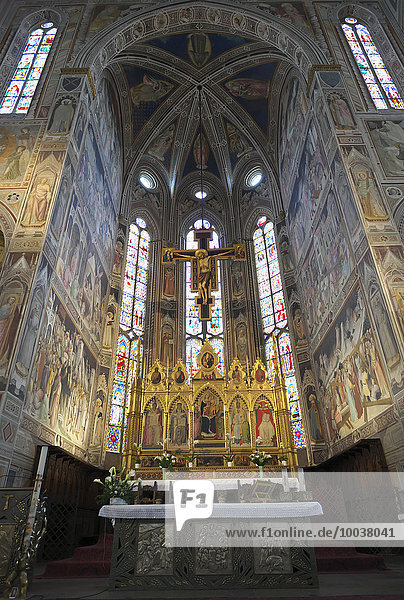 Hochaltar der Franziskanerkirche Santa Croce  Florenz  Toskana  Italien  Europa