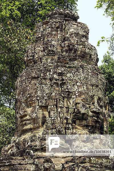 Westlicher Gopuram mit Gesichtsturm  Haupteingang  fünfter Mauerring  Ta Prohm Tempel  Angkor Thom  Provinz Siem Reap  Kambodscha  Asien