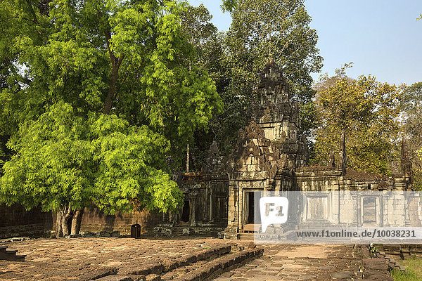 Angkor Thom  Provinz Siem Reap  Kambodscha  Asien