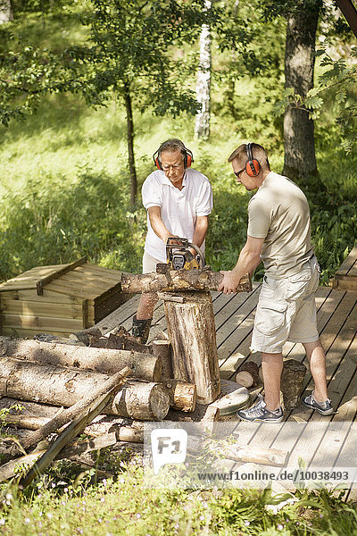 Men cutting log