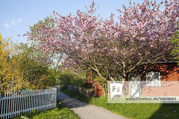 Garten Blockhaus Holzhaus