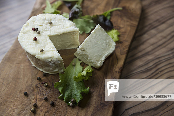 Close-up of cheese and lettuce leaf Germany