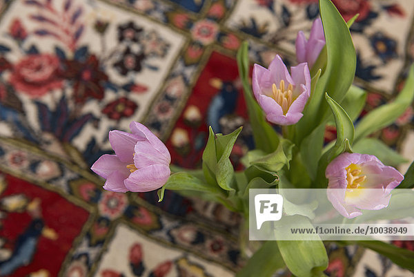 High angle view of bunch of tulips in flower vase  Munich  Bavaria  Germany