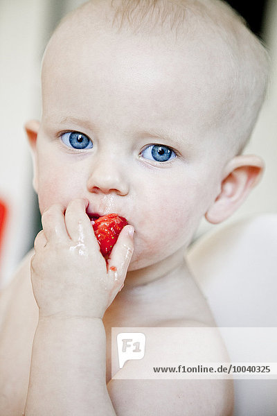 Portrait of baby boy eating strawberry