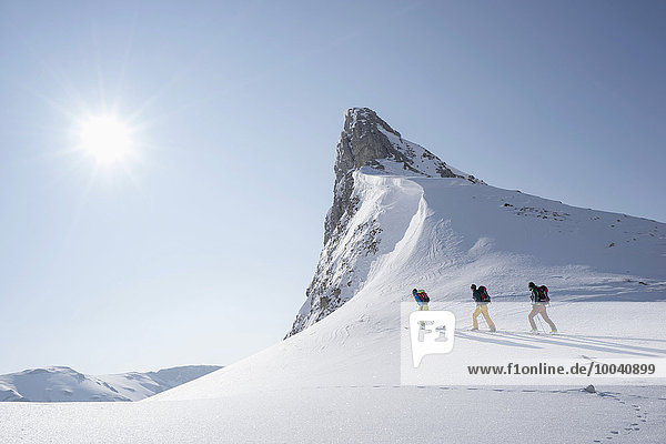 Ski mountaineers climbing on snowy peak  Tyrol  Austria