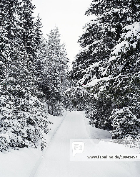 Winter Fernverkehrsstraße Wald