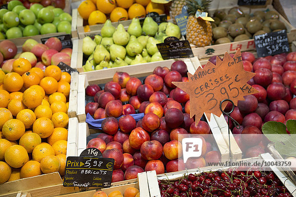 Blumenmarkt zeigen Frische Frucht verpacken Markt