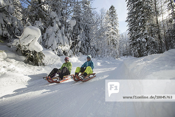 Germany  Bavaria  Inzell  couple having fun on sledges in snow-covered landscape