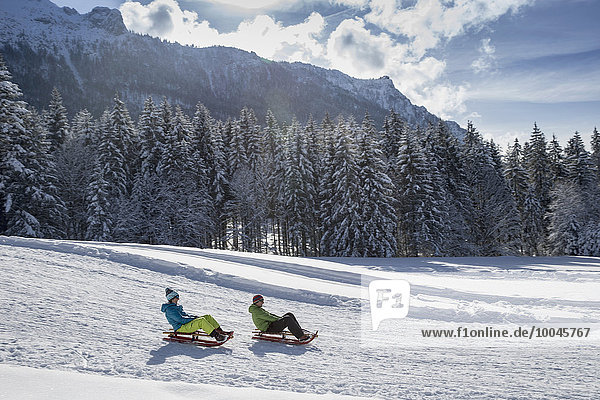 Germany  Bavaria  Inzell  couple on sledges in snow-covered landscape