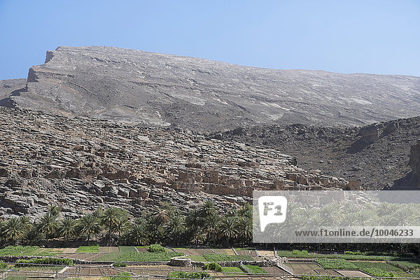 Oman  Oase im Wadi Ghul im Al Hajar Gebirge