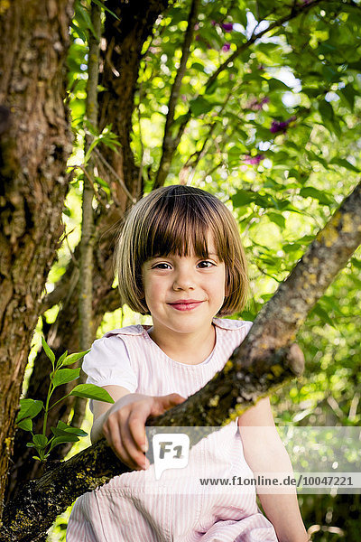 Portrait of smiling little girl climbing in a tree