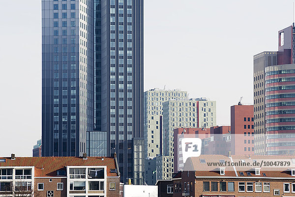Niederlande  Rotterdam  Blick auf moderne Bürotürme und Mehrfamilienhäuser im Vordergrund