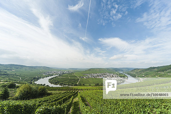 Deutschland  Rheinland-Pfalz  Moselschleife Trittenheim