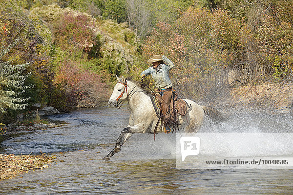 USA  Wyoming  Cowgirl reitet mit ihrem Pferd über den Fluss