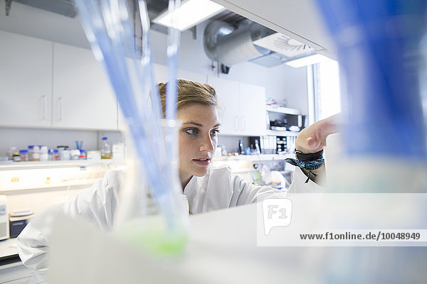 Young female scientist working at biological laboratory