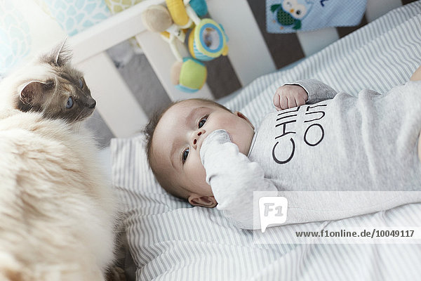 Baby lying in crib with cat