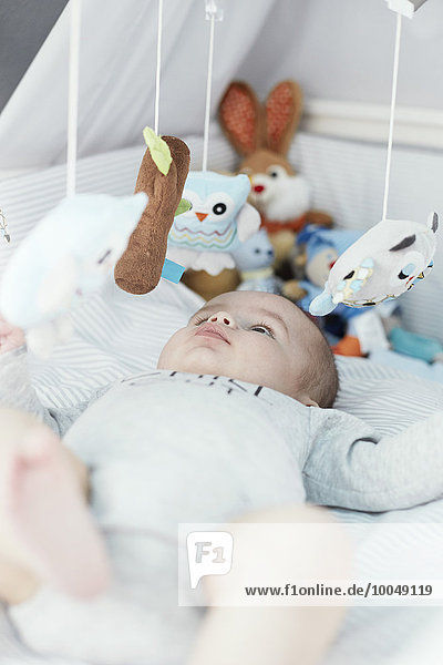 Baby lying in crib looking at cuddly toys