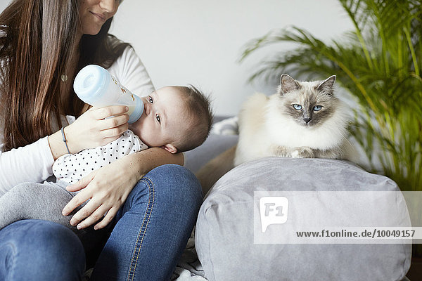 Junge Mutter Flaschenkind mit Katze auf der Couch