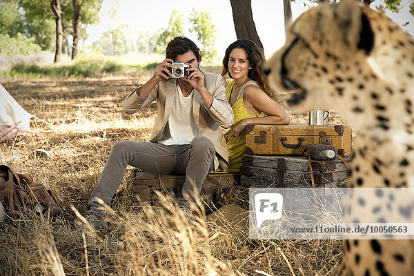 Südafrika  Paar fotografiert Geparden