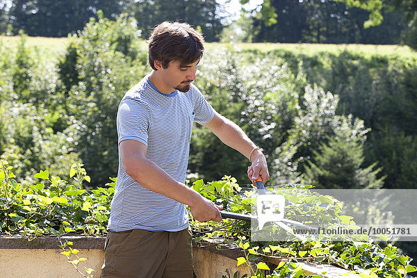 Young man pruning plants with pruner