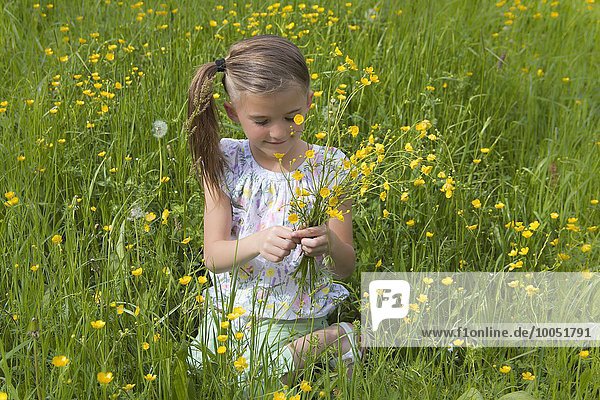 Little girl picking buttercups on a meadow