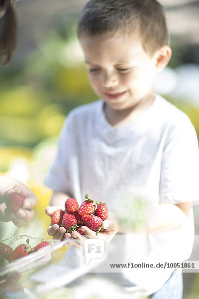 Kleiner Junge mit einer Handvoll Erdbeeren