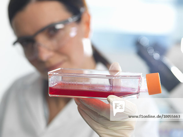 Female cell biologist holding flask containing stem cells  cultivated in red growth medium