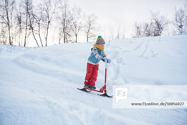 Junge auf Schneeroller auf dem Berg  Hemavan  Schweden