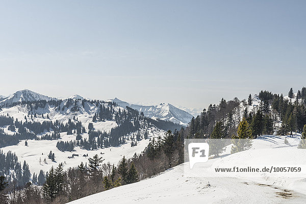 Schneebedeckte Aussicht auf das Zwolferhorn  St. Gilgen  Österreich