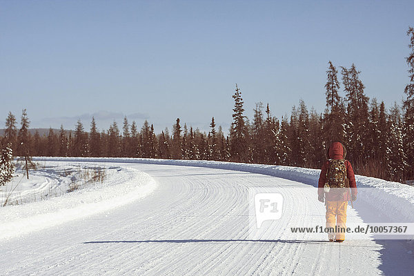 Person walking on snow covered road  Fairbanks  Alaska