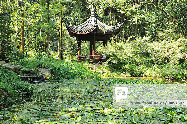 Pavillon am Lotuspool  umgeben von Bäumen  Hangzhou  China
