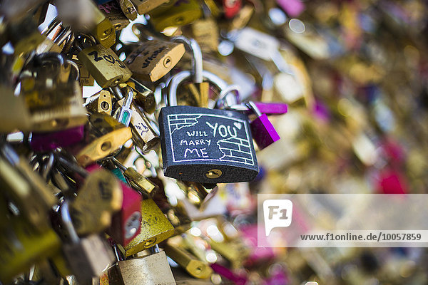 Love Locks  Pont des Arts  Paris  Frankreich