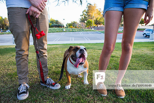 Portrait of bulldog in park between legs of young couple