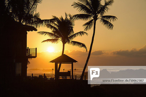 Strandhaus und Palmen bei Sonnenuntergang  Hawaii  USA