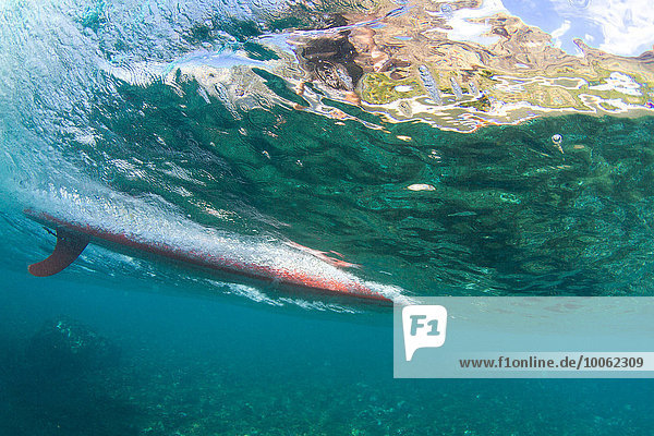 Surfboard  underwater view  Hawaii
