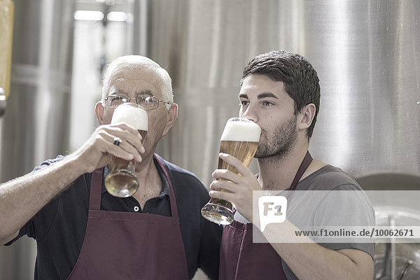 Two brewers drinking beer in the brewery