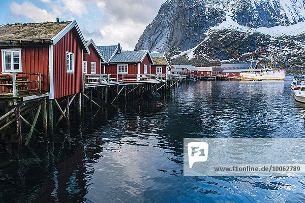 Fischerhütten auf Stelzen  Reine  Lofoten  Norwegen