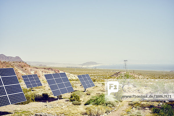 Reihe von Sonnenkollektoren in der Landschaft mit Colorado River in der Ferne  Hemenway Harbor  Nevada  USA
