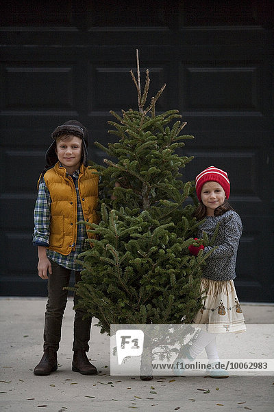 Mädchen und Junge mit Weihnachtsbaum