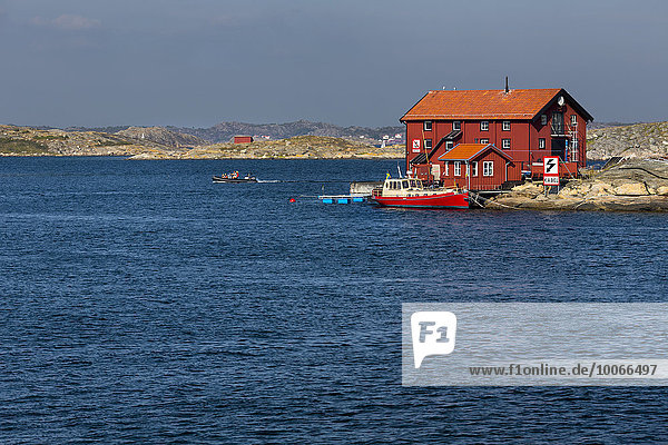 Haus an der Schärenküste  bei der Insel Gullholmen  Orust  Provinz Västra Götaland  Bohuslän  Schweden  Europa