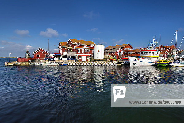 Hafen der Insel Käringön  Orust  Provinz Västra Götaland  Bohuslän  Schweden  Europa