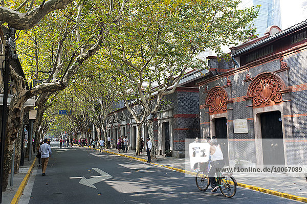 Allee mit Fußgängern  Künstlerviertel in der Altstadt  Huangpu und Xuhui Distrikt  Shanghai  China  Asien