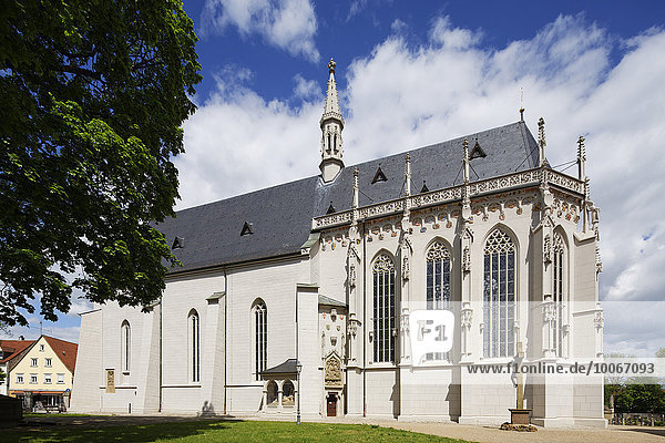 Ritterkapelle  Haßfurt  Mainfranken  Unterfranken  Franken  Bayern  Deutschland  Europa
